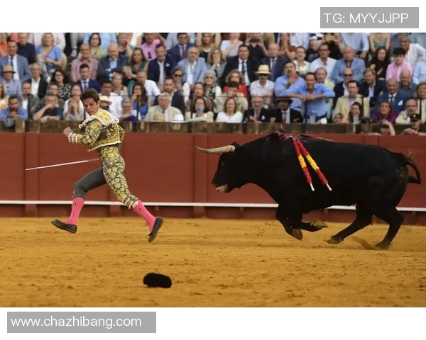 93公牛与98公牛的巅峰对决谁才是历史最佳球队的真正代表