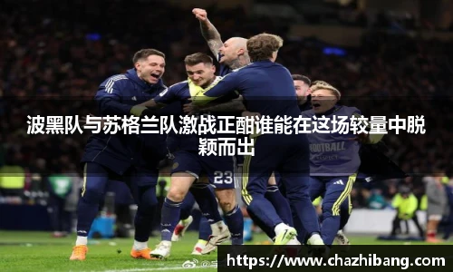 波黑队与苏格兰队激战正酣谁能在这场较量中脱颖而出